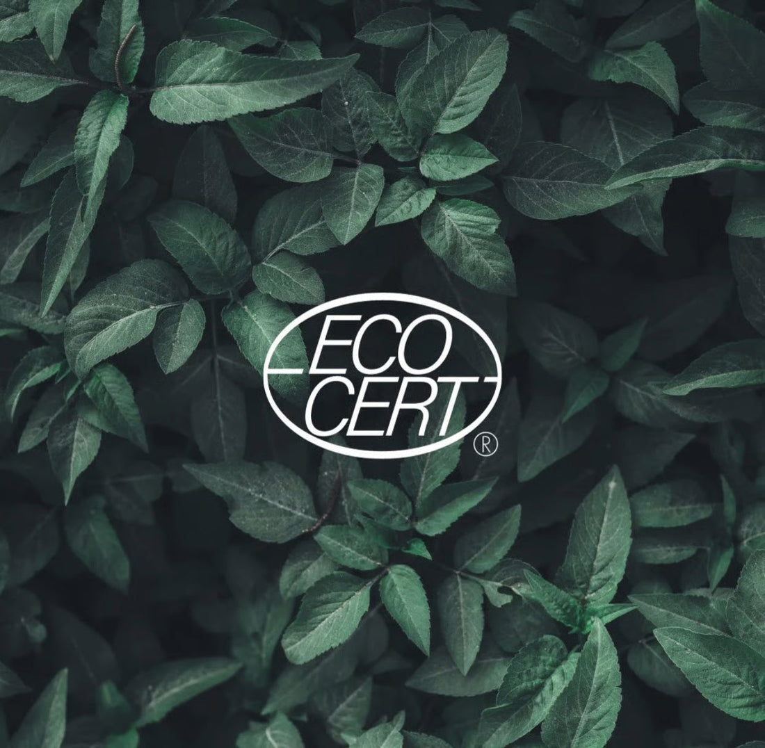 Ecocert – vad certifieringen innebär i naturlig och ekologisk hudvård